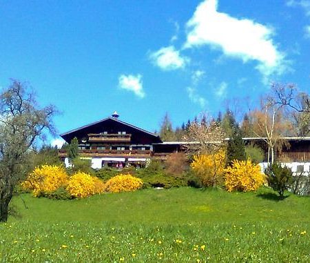 Biohof Schwanser Steinbach am Attersee Exterior foto