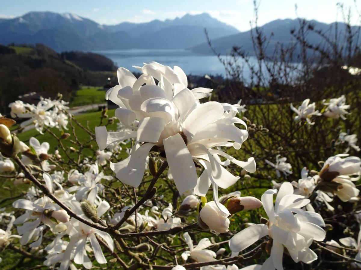 Biohof Schwanser Steinbach am Attersee Exterior foto