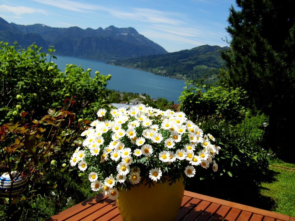 Biohof Schwanser Steinbach am Attersee Exterior foto