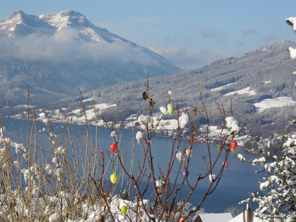 Biohof Schwanser Steinbach am Attersee Exterior foto