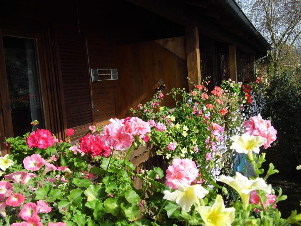 Biohof Schwanser Steinbach am Attersee Exterior foto