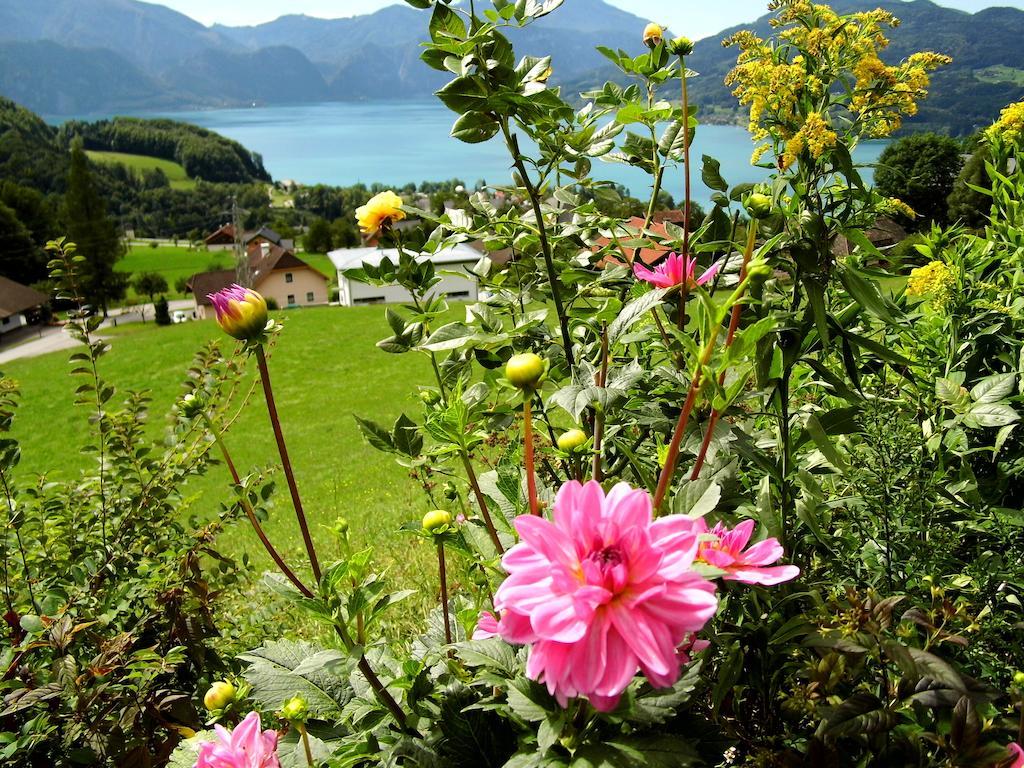 Biohof Schwanser Steinbach am Attersee Exterior foto