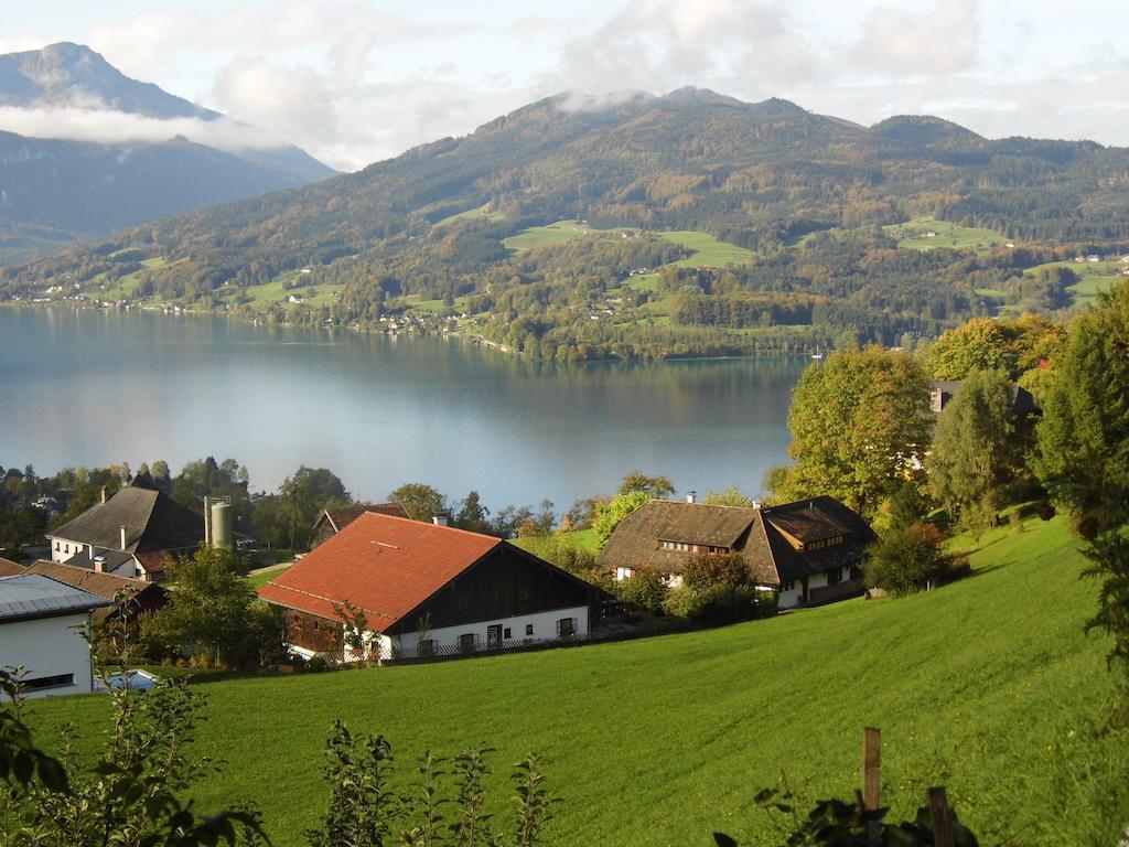 Biohof Schwanser Steinbach am Attersee Exterior foto