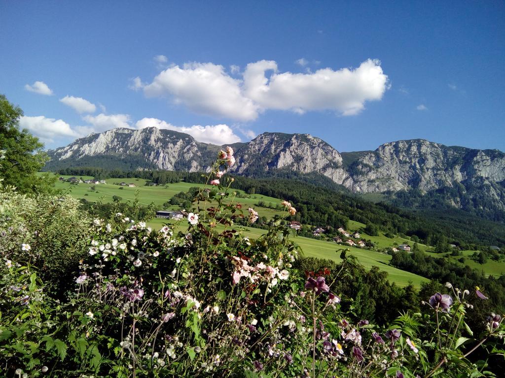 Biohof Schwanser Steinbach am Attersee Exterior foto