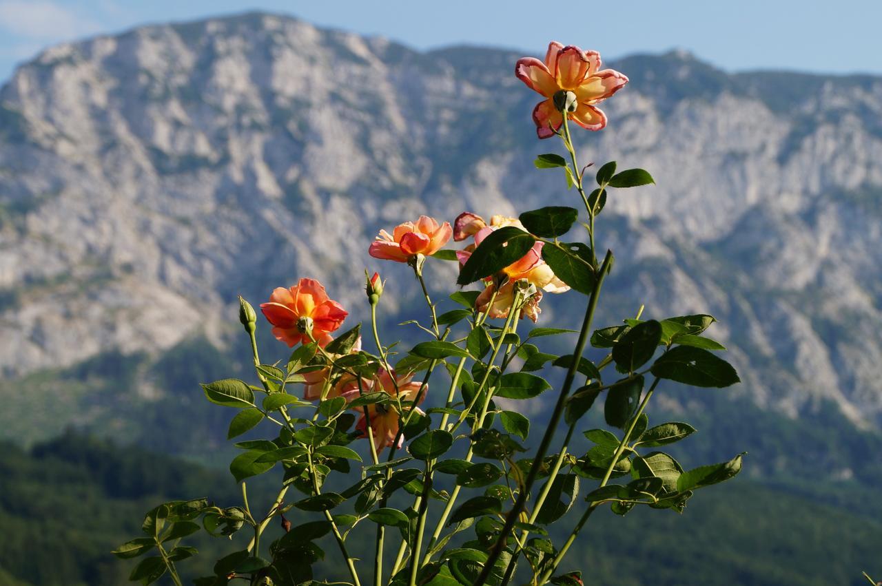 Biohof Schwanser Steinbach am Attersee Exterior foto