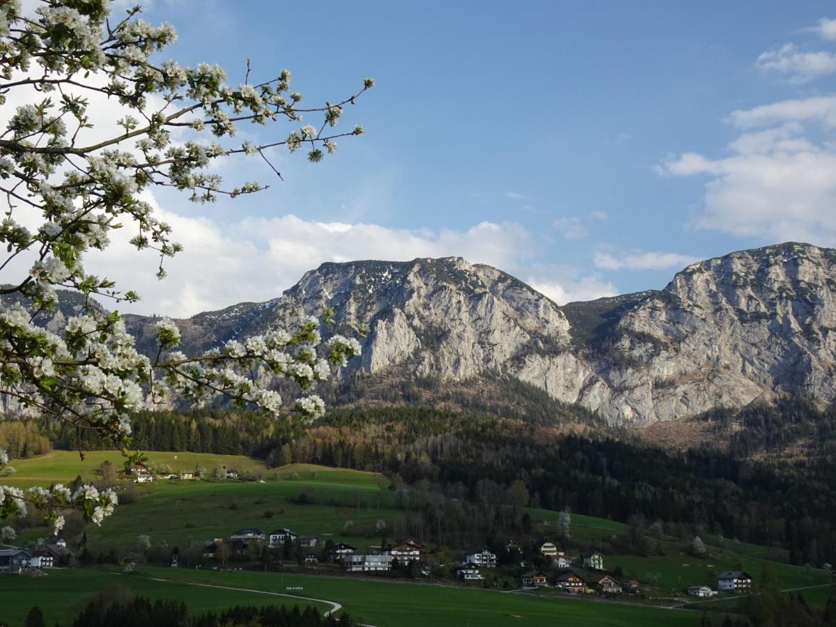 Biohof Schwanser Steinbach am Attersee Exterior foto